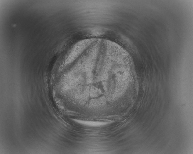 X0000069790366200606021419