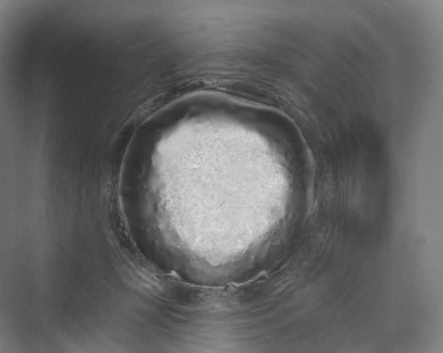 X0000069790367200606021419