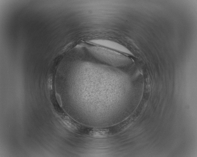 X0000069790368200606021419