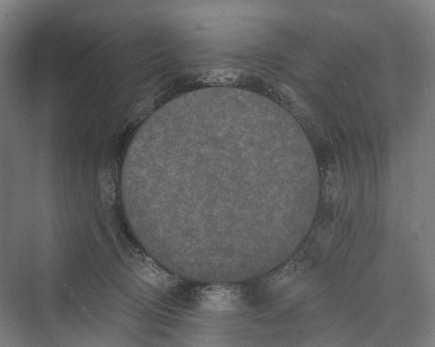 X0000069790370200606021419