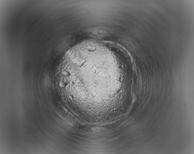 X0000069790371200606021419