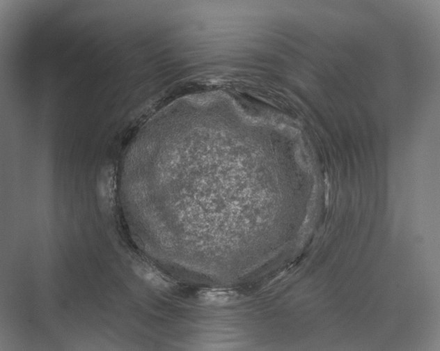 X0000069790372200606021419