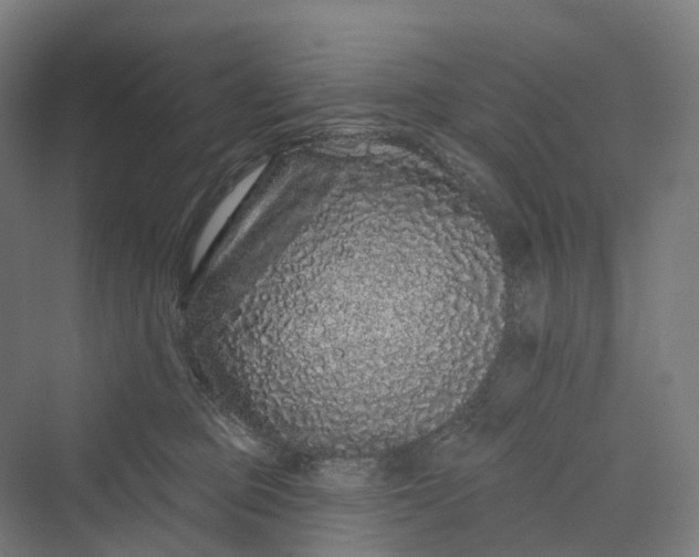 X0000069790373200606021419