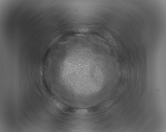 X0000069790374200606021419