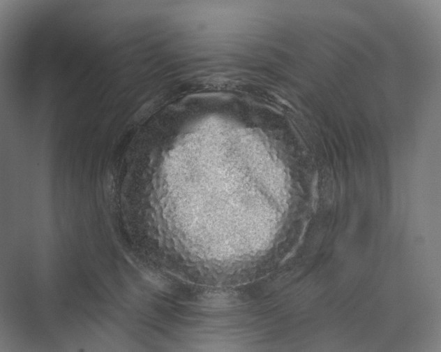 X0000069790375200606021419