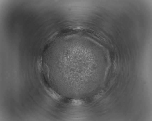 X0000069790376200606021419