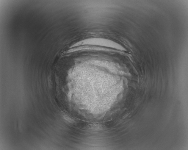 X0000069790377200606021419