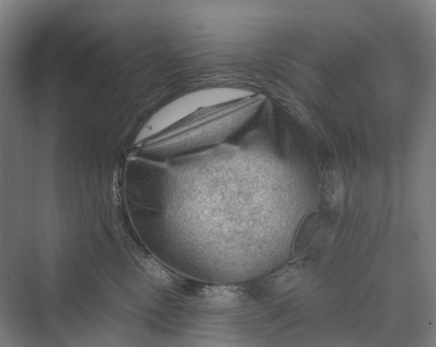 X0000069790378200606021419