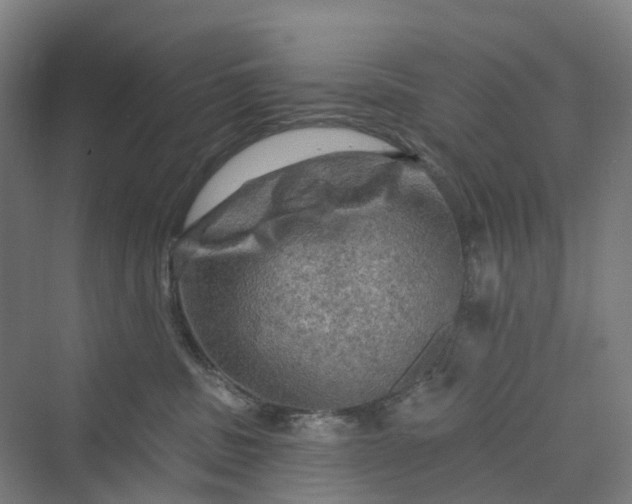 X0000069790379200606021419