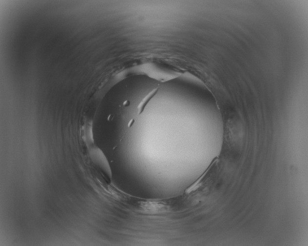 X0000069790380200606021419