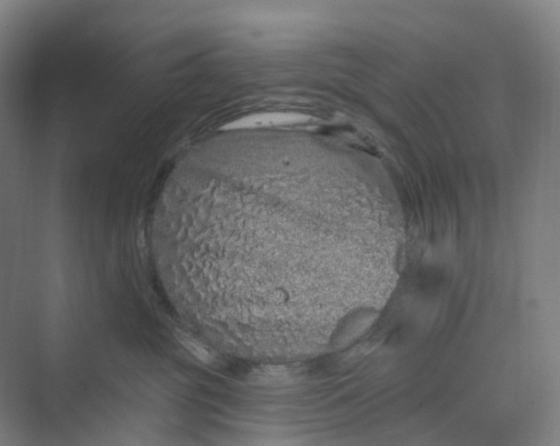 X0000069790381200606021419