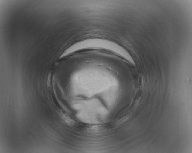 X0000069790382200606021419