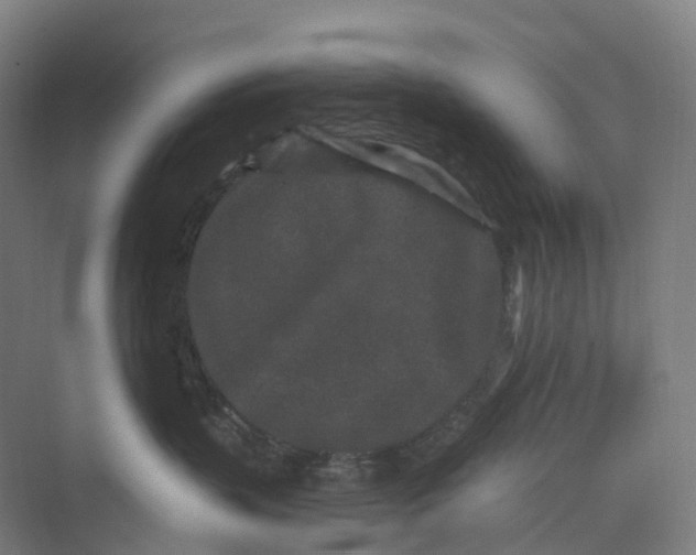 X0000069790383200606021419