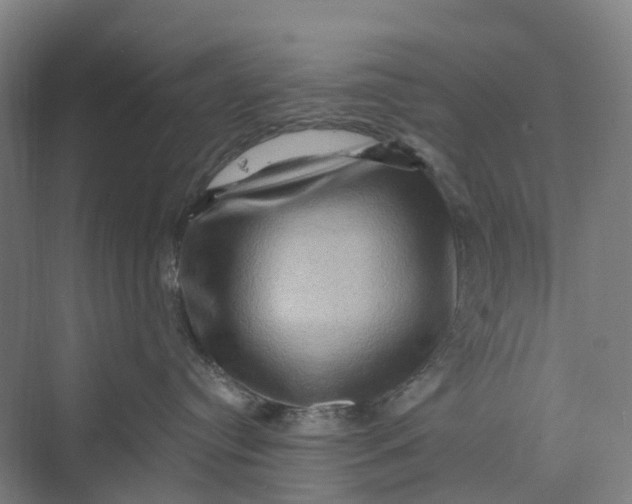 X0000069790384200606021419