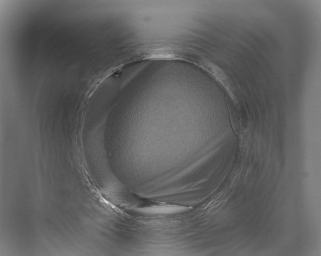 X0000069790385200606021419