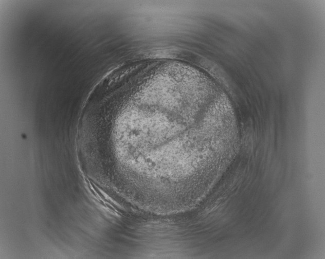 X0000069790386200606021419