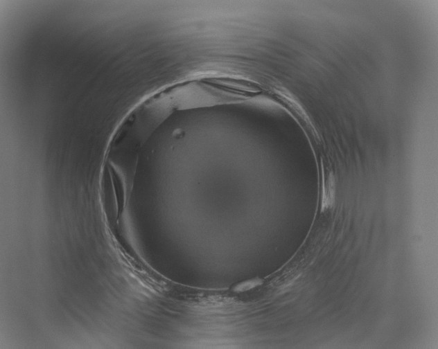 X0000069790387200606021419