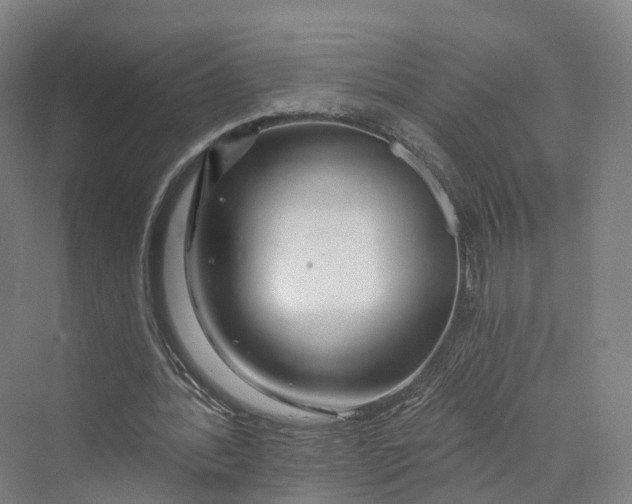 X0000069790388200606021419