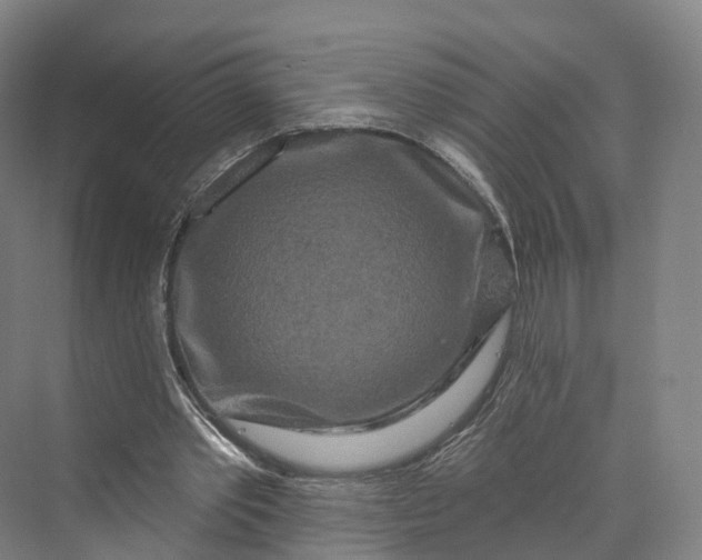 X0000069790389200606021419