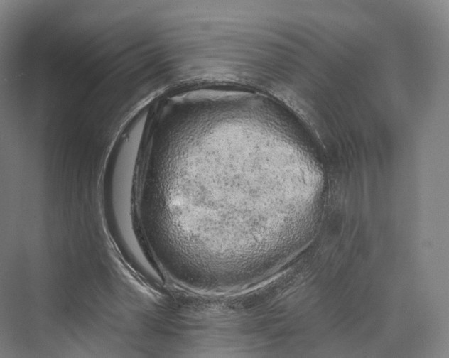 X0000069790390200606021419