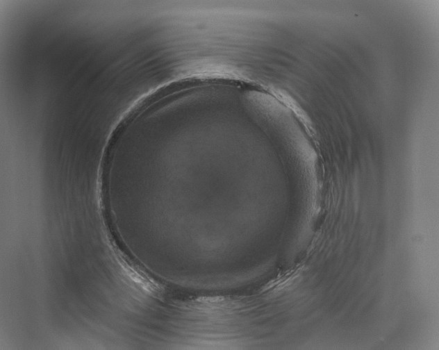 X0000069790391200606021419