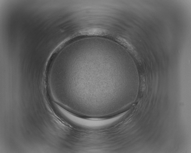 X0000069790392200606021419