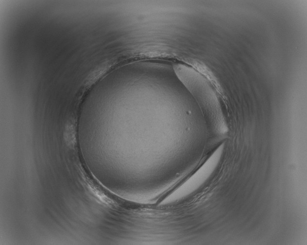 X0000069790393200606021419