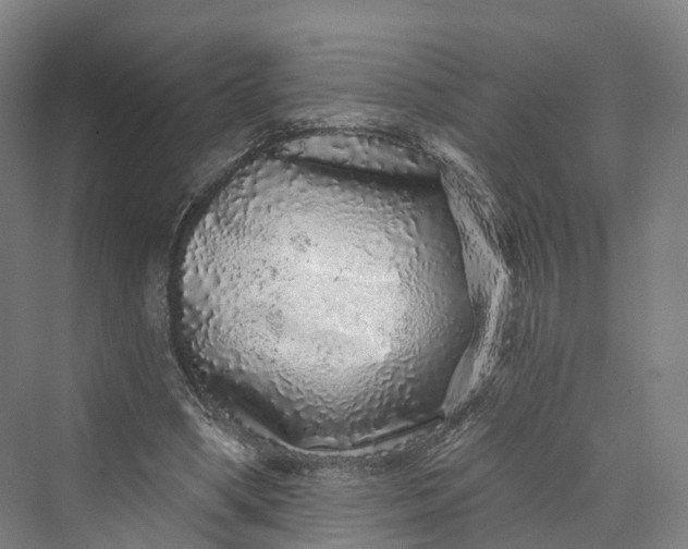 X0000069790394200606021418