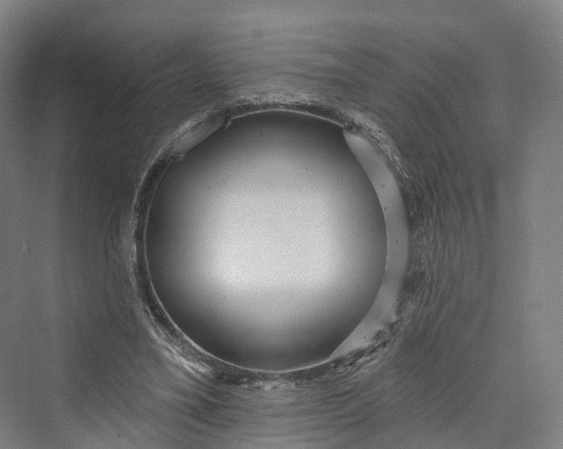 X0000069790395200606021418