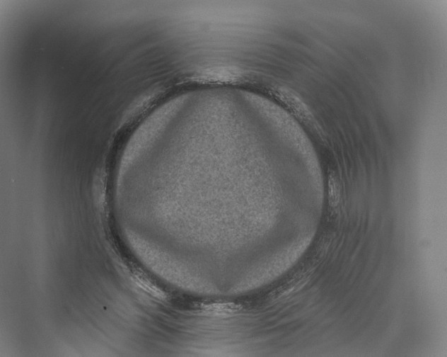 X0000069790396200606021418