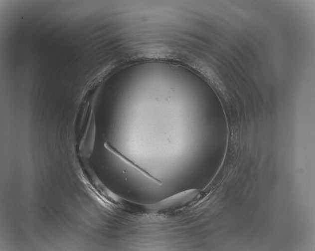 X0000069790397200606021418