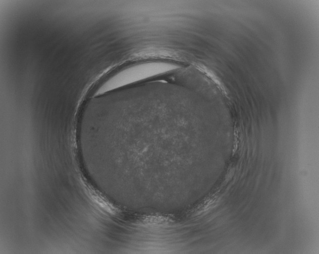 X0000069790399200606021418