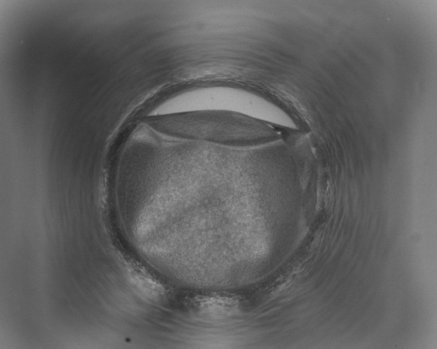 X0000069790400200606021418