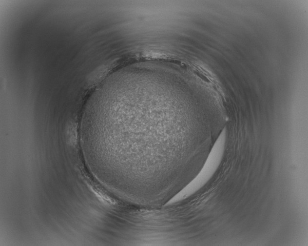 X0000069790401200606021418