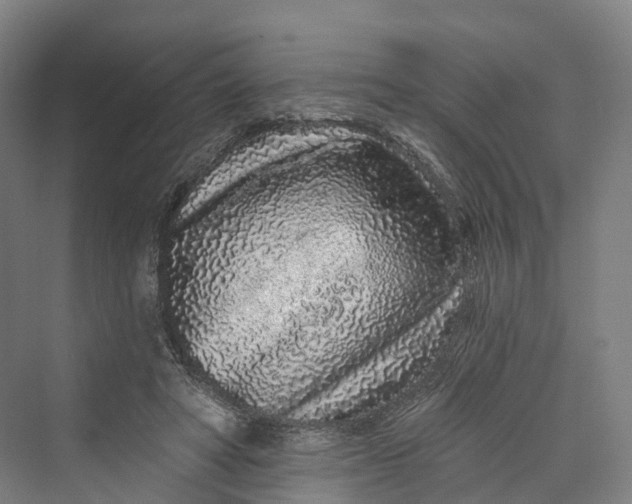 X0000069790402200606021418