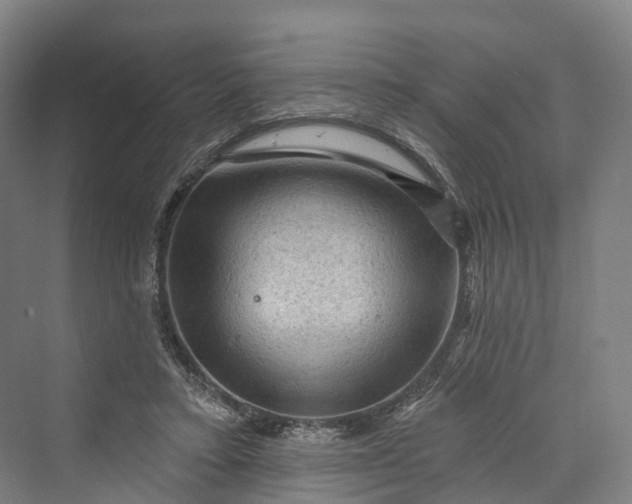 X0000069790403200606021418