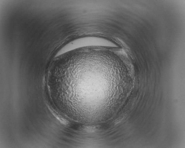 X0000069790405200606021418