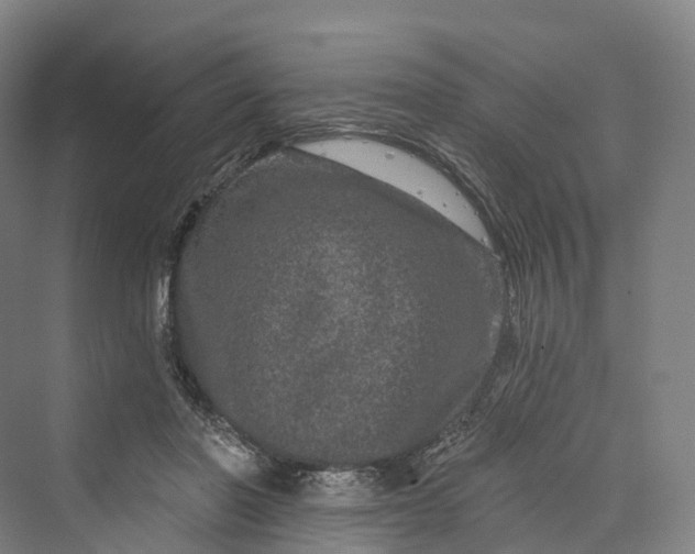 X0000069790406200606021418