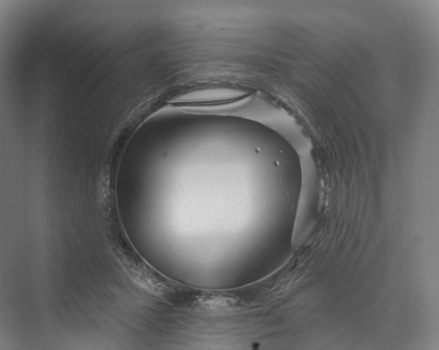 X0000069790407200606021418