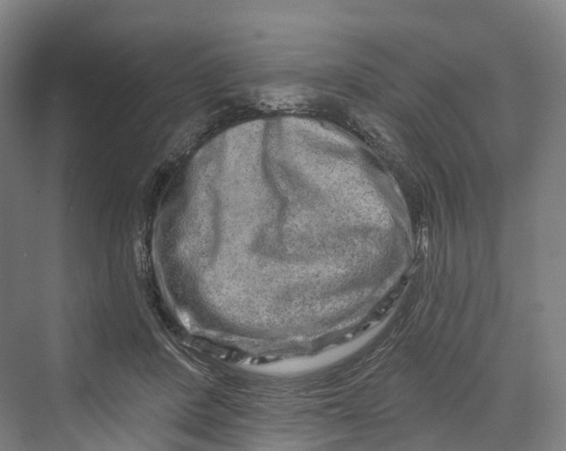 X0000069790408200606021418