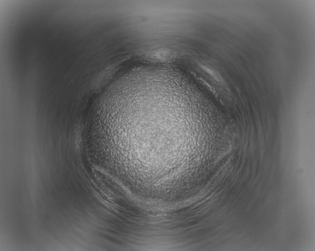 X0000069790409200606021418