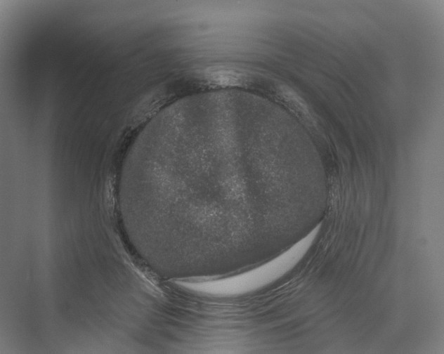 X0000069790410200606021418