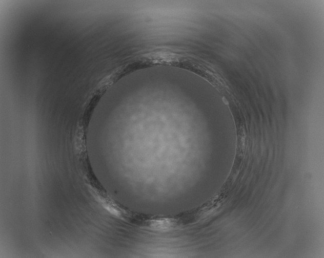 X0000069790411200606021418