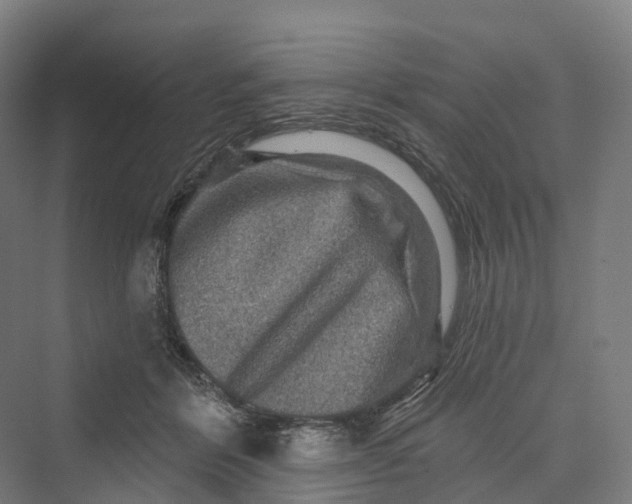 X0000069790412200606021418