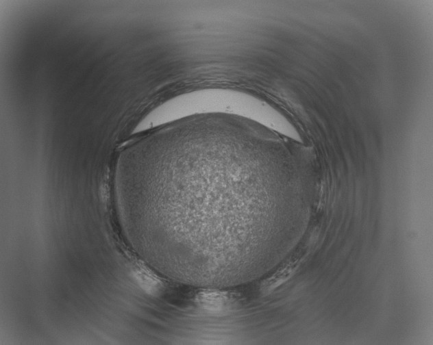 X0000069790413200606021418