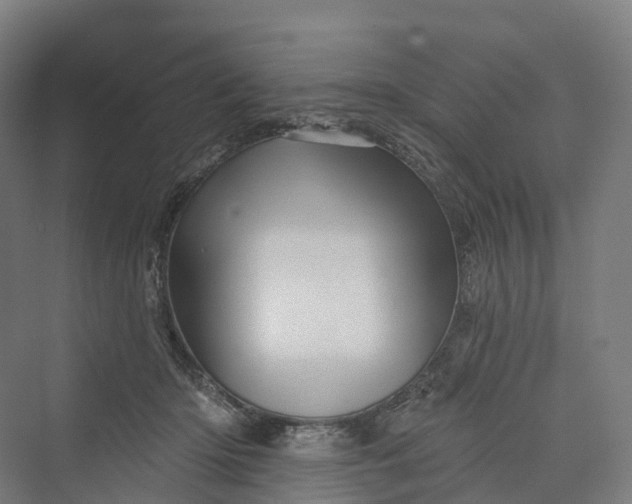 X0000069790414200606021418