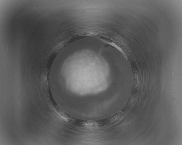 X0000069790415200606021418