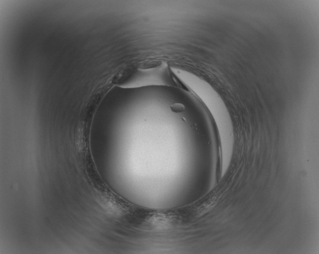 X0000069790416200606021418