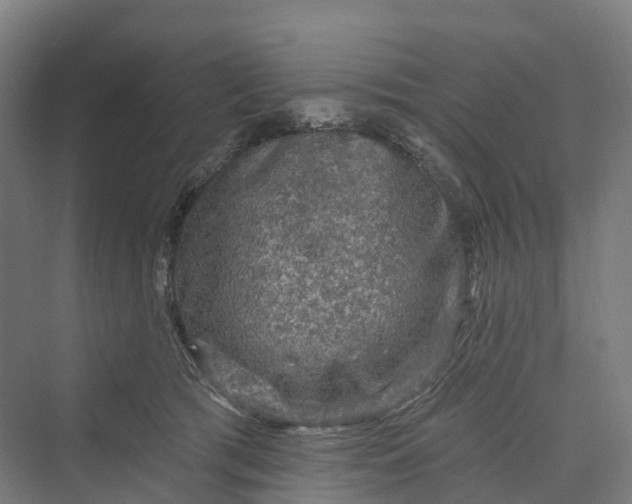 X0000069790417200606021418