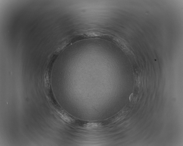 X0000069790418200606021418